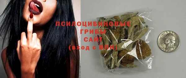 стаф Абинск