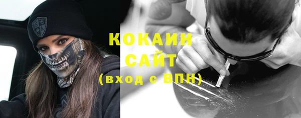 шишки Абаза