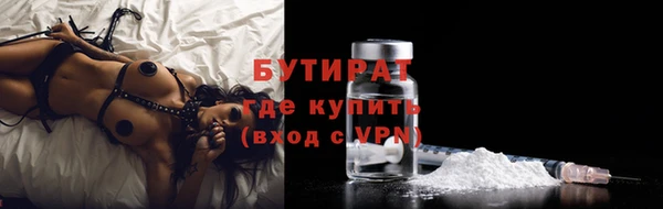 шишки Абаза