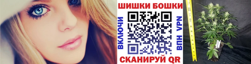 купить  цена  Почеп  Бошки Шишки White Widow 
